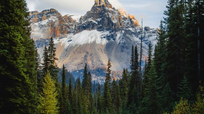 Yoho National park