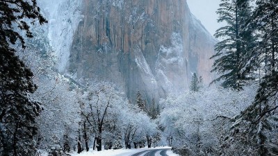 Yosemite National Park