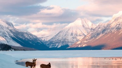 Glacier National Park | Montana